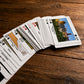 Portugal travel playing cards displayed on a wooden table, showing famous Portuguese landmarks, cities, gardens, bridges, and historic places.
